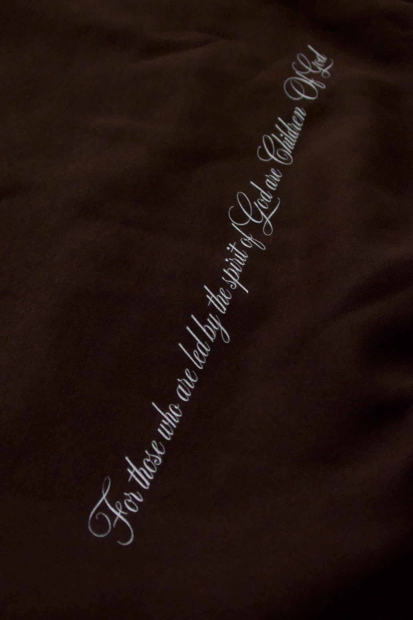 Romans 8:14 Hoodie